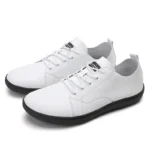 Product-0012 - Image 2